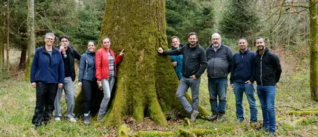 Teamevent – unser Beitrag für den Schweizer Wald