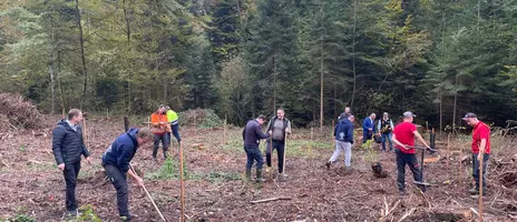 «Mein Baum» im Waadtland